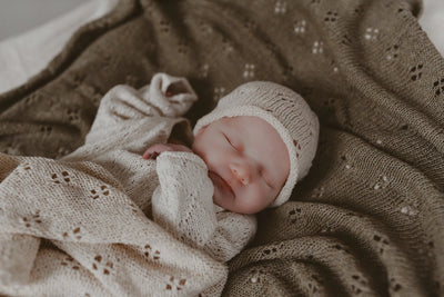 Welcome Gooseberry Fool