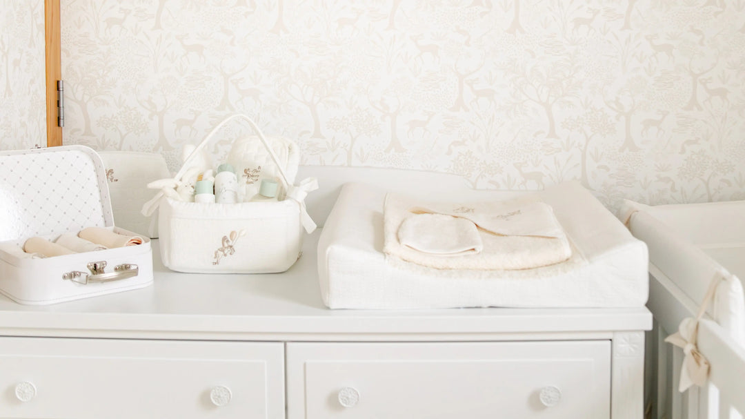 Preparing to Bring Your Baby Home Blue Almonds Ltd