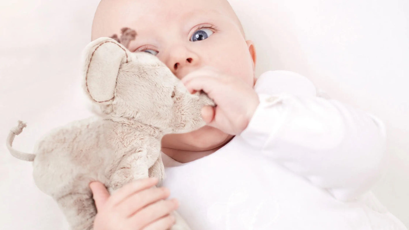 baby with elephant soother soft toy