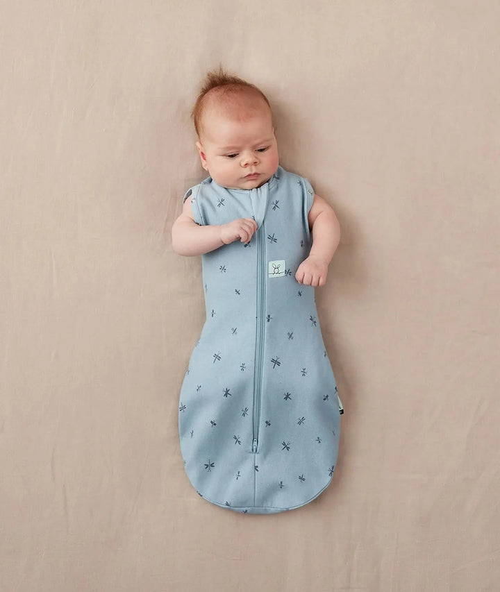Blue Almonds Ltd All year Cocoon Swaddle Bag 1.0 TOG - Dragonflies ErgoPouch