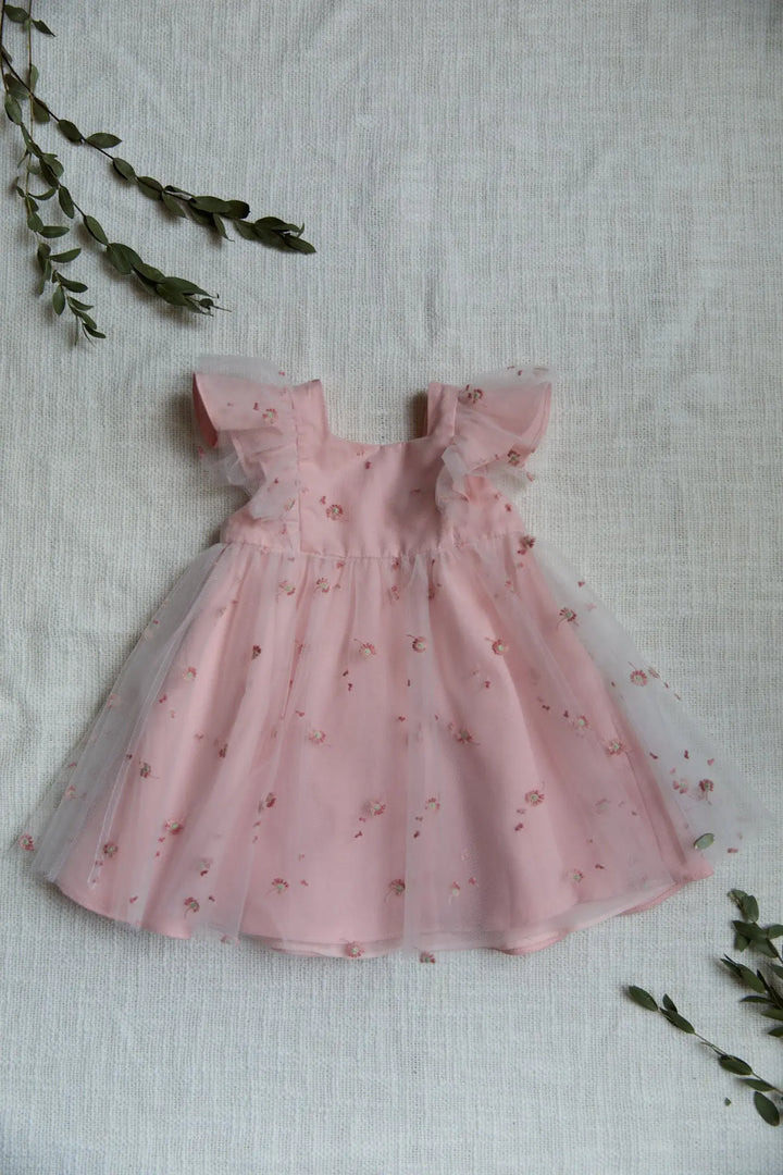 Blue Almonds Ltd BABY CEREMONIE FILLE - Robe a manches - Girl TARTINE ET CHOCOLAT