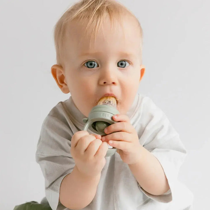 Blue Almonds Ltd BIBS Baby Feeder- Sage BIBS Pacifiers