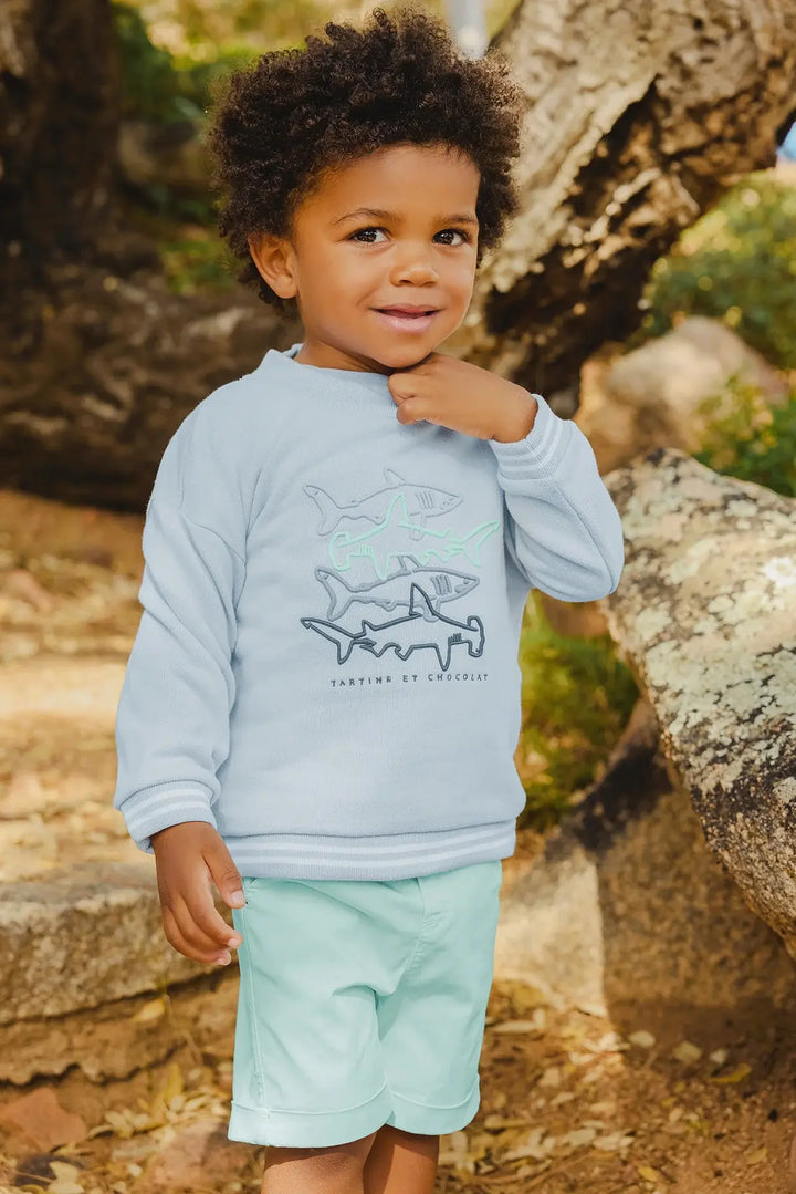 Blue Almonds Ltd Baby Boys Cobalt Blue Jumper Tartine et Chocolat
