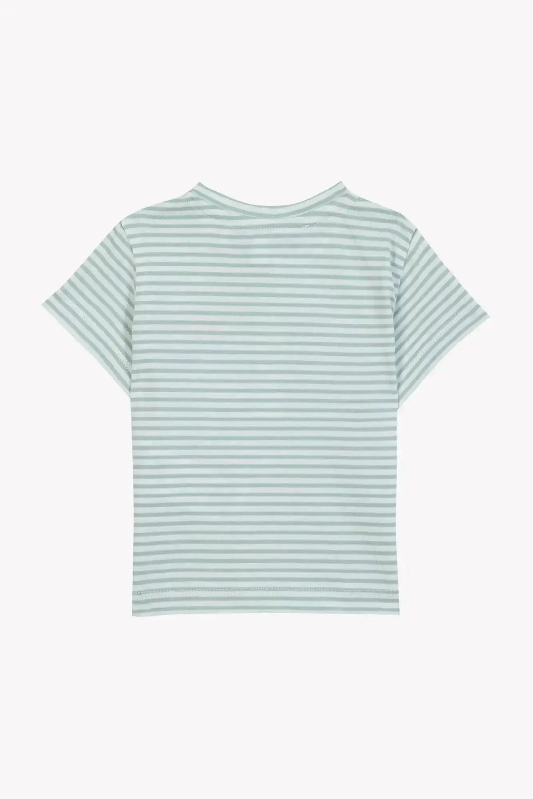 Blue Almonds Ltd Baby Boys Shorts - Khaki + Baby Boys T-Shirt - Sage Tartine et Chocolat