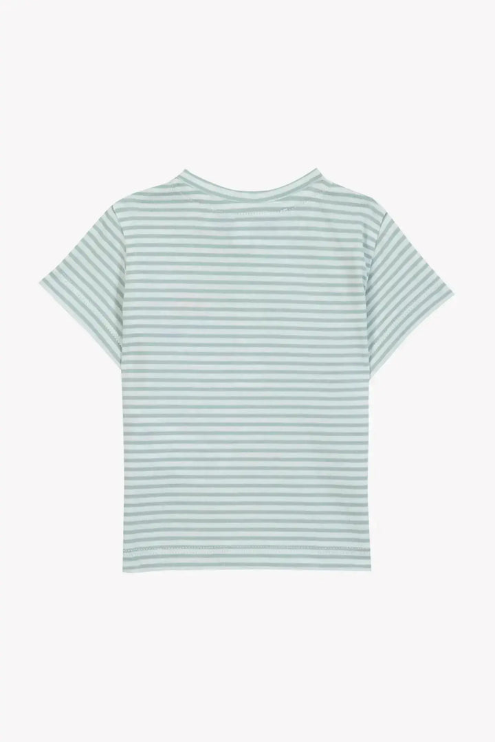 Blue Almonds Ltd Baby Boys Shorts - Khaki + Baby Boys T-Shirt - Sage Tartine et Chocolat