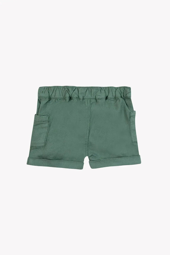 Blue Almonds Ltd Baby Boys Shorts - Khaki 2 + Baby Boys T-Shirt - Marl Grey Tartine et Chocolat