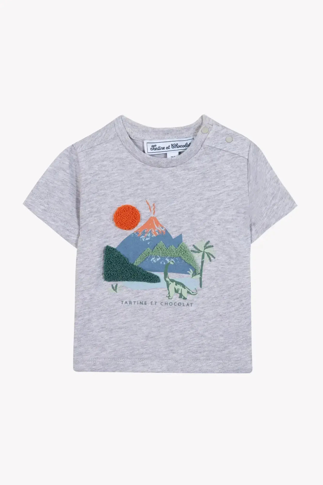 Blue Almonds Ltd Baby Boys Shorts - Khaki 2 + Baby Boys T-Shirt - Marl Grey Tartine et Chocolat