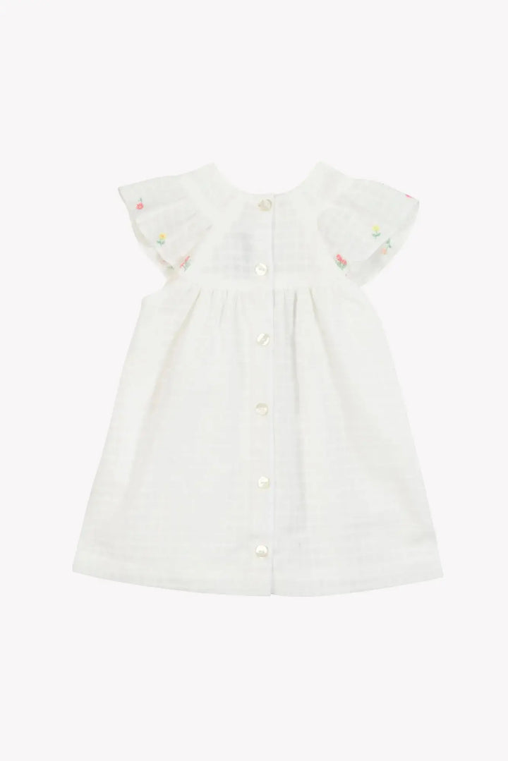 Blue Almonds Ltd Baby Girls Dress - White 2 Tartine et Chocolat