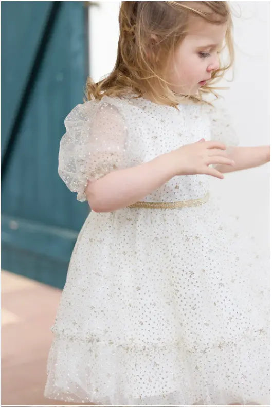 Blue Almonds Ltd Baby Girls Party Glitter Tulle Dress Tartine et Chocolat