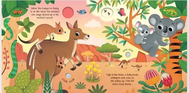 Blue Almonds Ltd Baby Animal Sounds Harper Collins Books