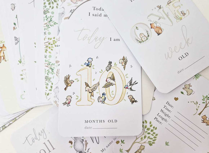 Blue Almonds Ltd Baby's first year milestone cards Daisy & Bump