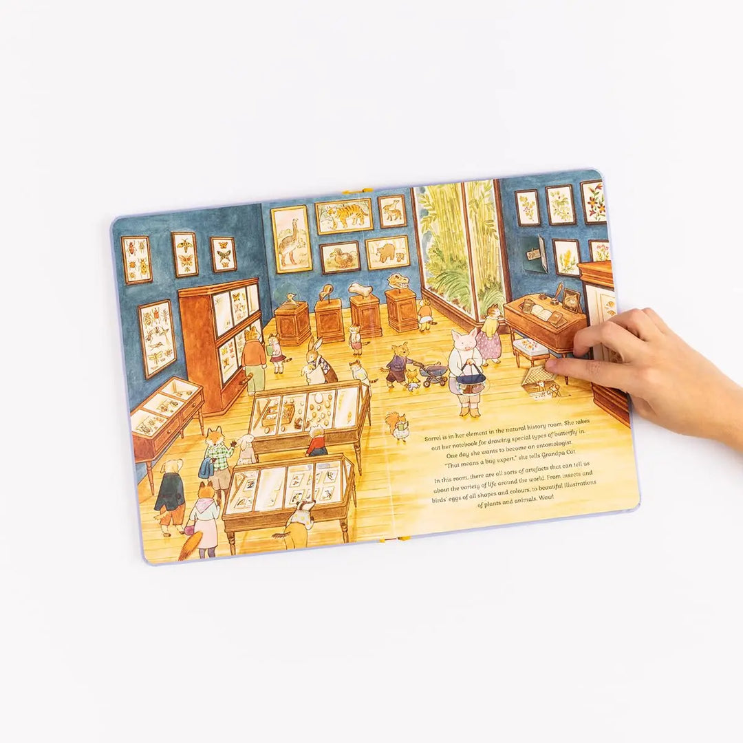 Blue Almonds Ltd Cat Family at The Museum - A Lift-The-Flap Book Macmillan