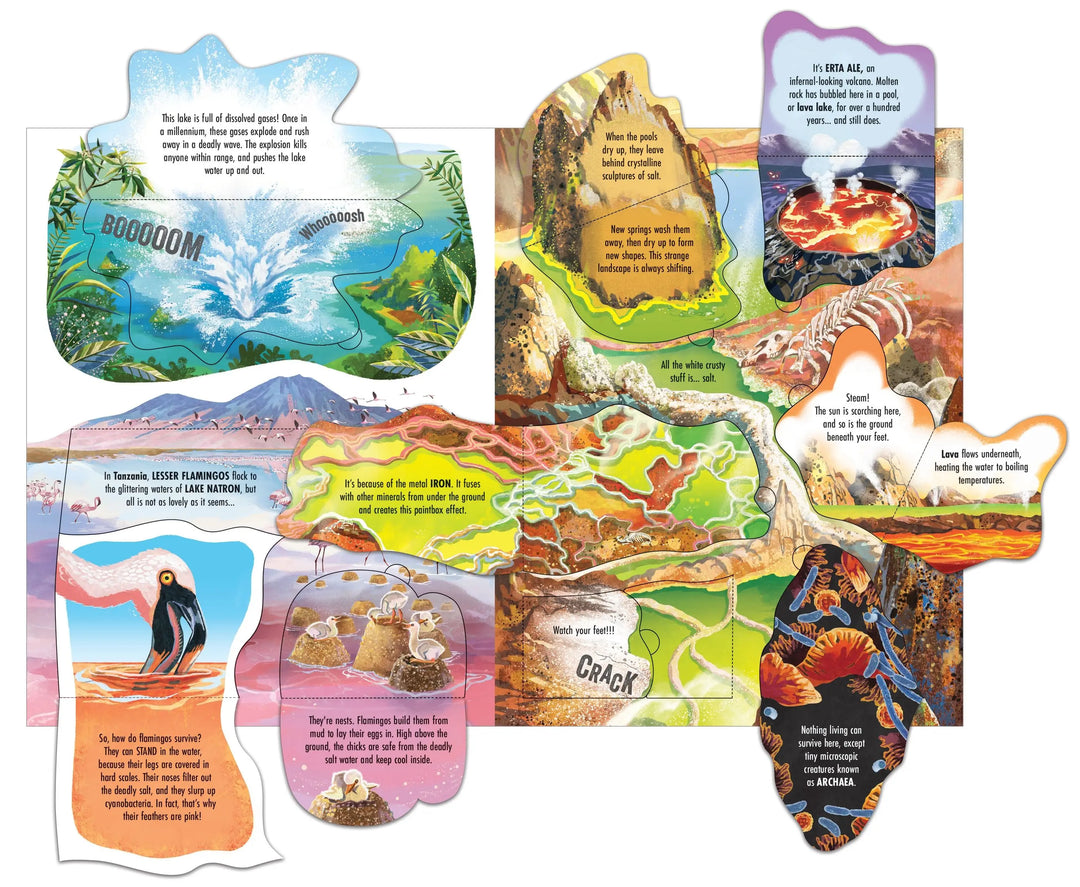 Blue Almonds Ltd See inside wild places Harper Collins Books