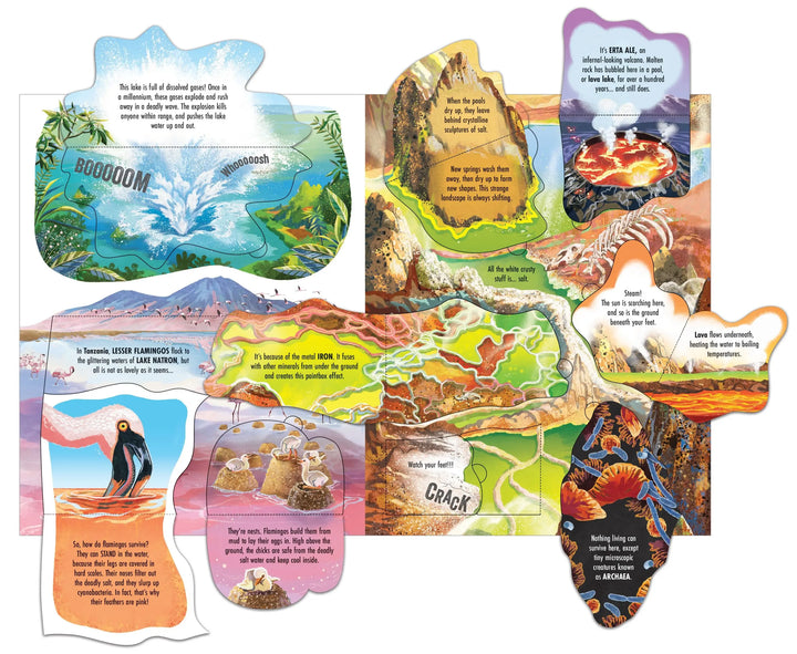 Blue Almonds Ltd See inside wild places Harper Collins Books