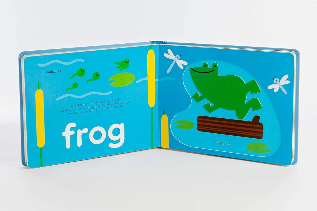 Blue Almonds Ltd Touch Think Learn: animals Littlehampton Books