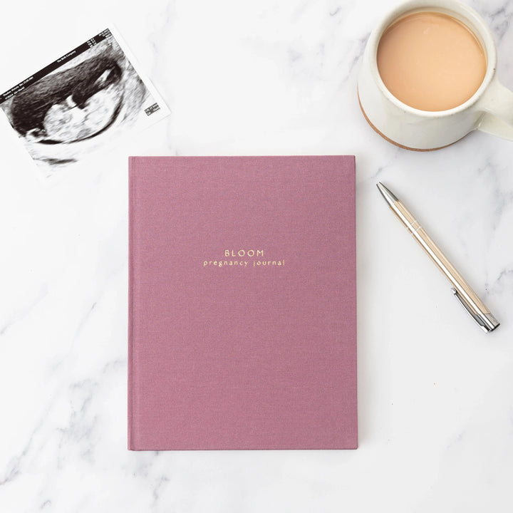Blue Almonds Ltd Pregnancy Story Book Meminio