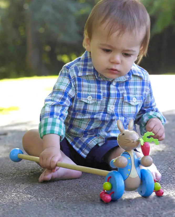 Blue Almonds Ltd Peter Rabbit Push Along Orange Tree Toys