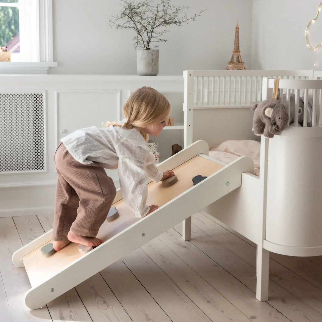 Blue Almonds Ltd Sebra 2-in-1 Climb & Slide Sebra