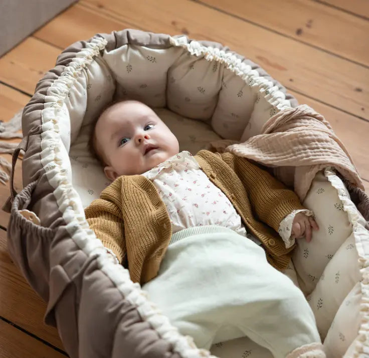 Blue Almonds Ltd Sebra 3-in-1 Baby Nest Blue Almonds