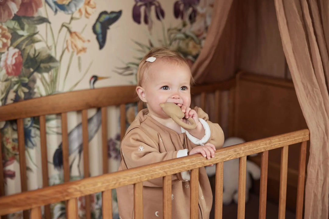 Blue Almonds Ltd Teething Ring Rubber - Teddy Bear Jollein