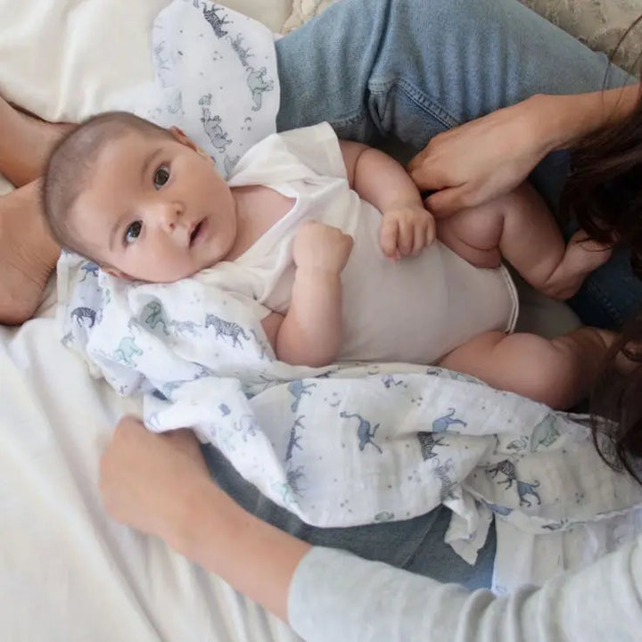 Cotton muslin 4-pack "rising star"-Blankets & swaddling-aden + anais-Blue Almonds-London-South Kensington