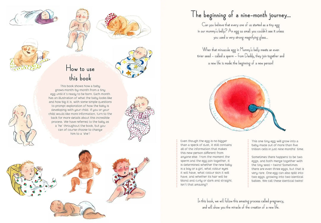 9 months book-Books-Hachette Books-Blue Almonds-London-South Kensington