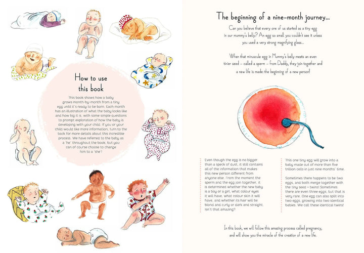 9 months book-Books-Hachette Books-Blue Almonds-London-South Kensington