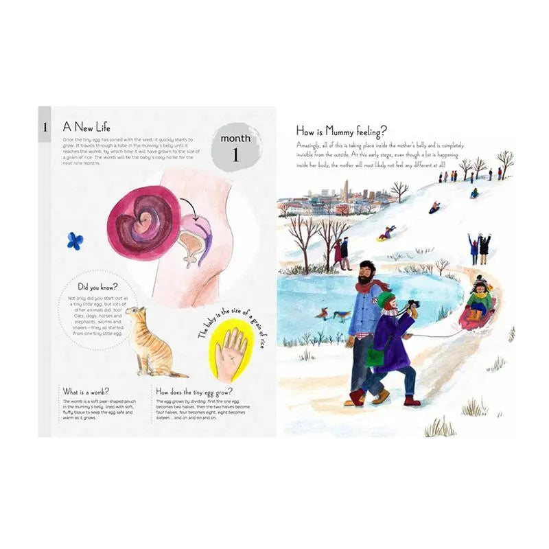 9 months book-Books-Hachette Books-Blue Almonds-London-South Kensington