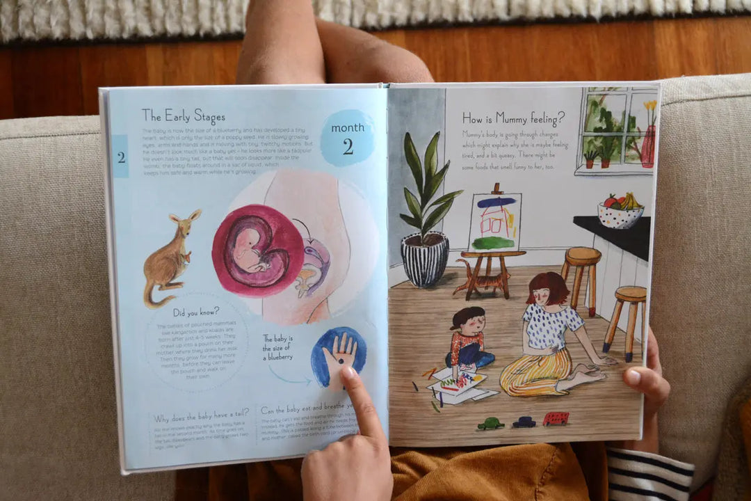 9 months book-Books-Hachette Books-Blue Almonds-London-South Kensington
