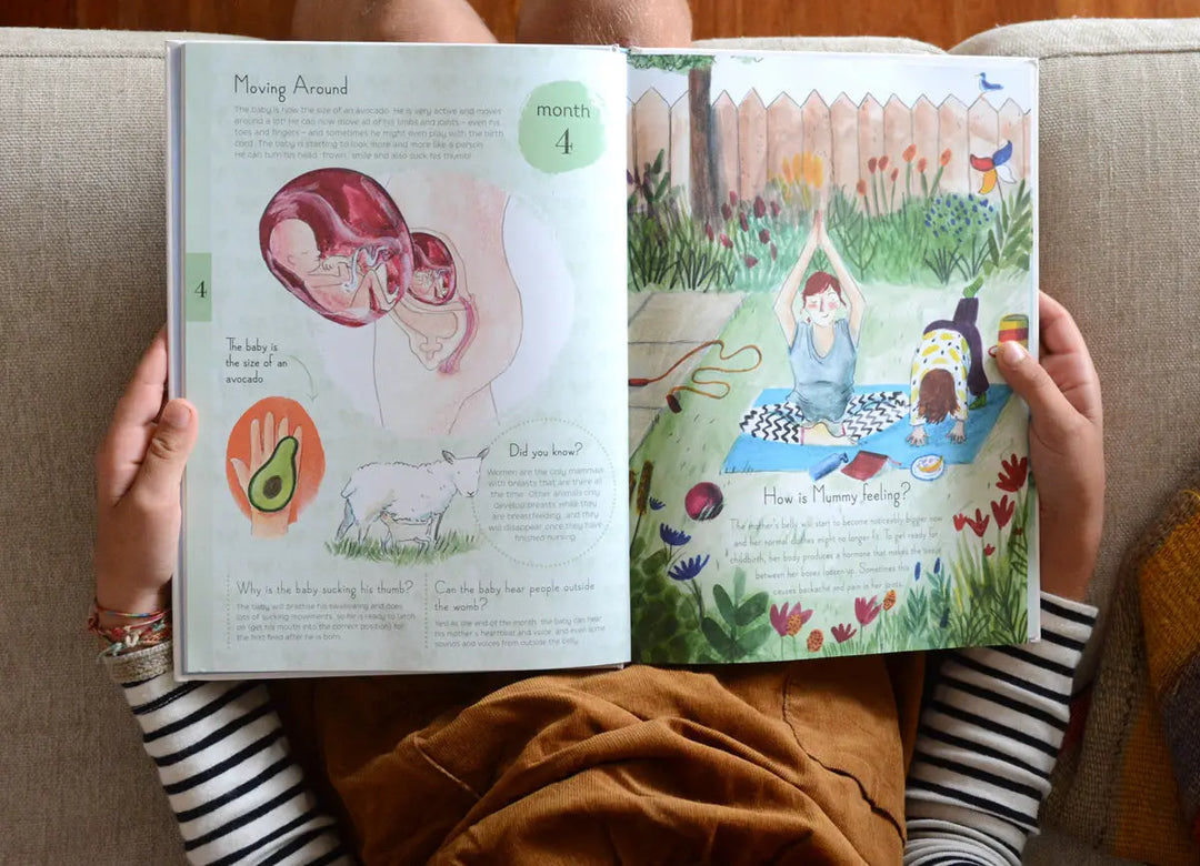 9 months book-Books-Hachette Books-Blue Almonds-London-South Kensington