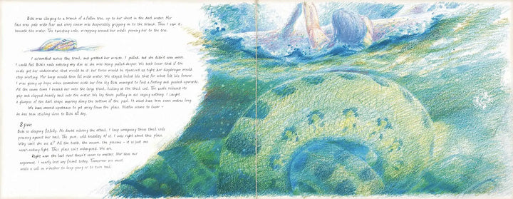 Journey to the last river-Books-Hachette Books-Blue Almonds-London-South Kensington