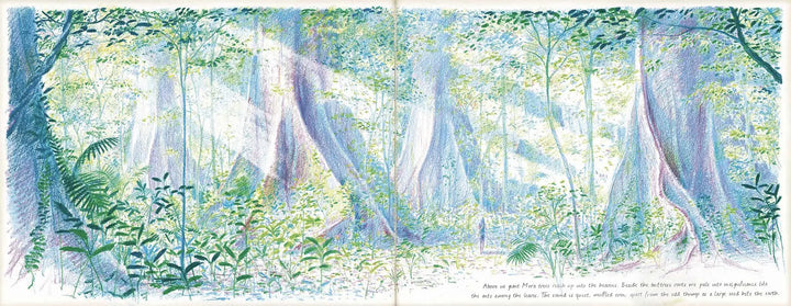 Journey to the last river-Books-Hachette Books-Blue Almonds-London-South Kensington