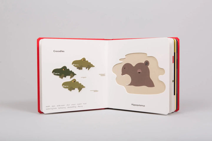 Touch Think Learn: wild animals-Books-Littlehampton Books-Blue Almonds-London-South Kensington